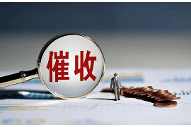 忻城专业讨债公司有哪些核心服务？