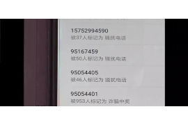 忻城为什么选择专业追讨公司来处理您的债务纠纷？